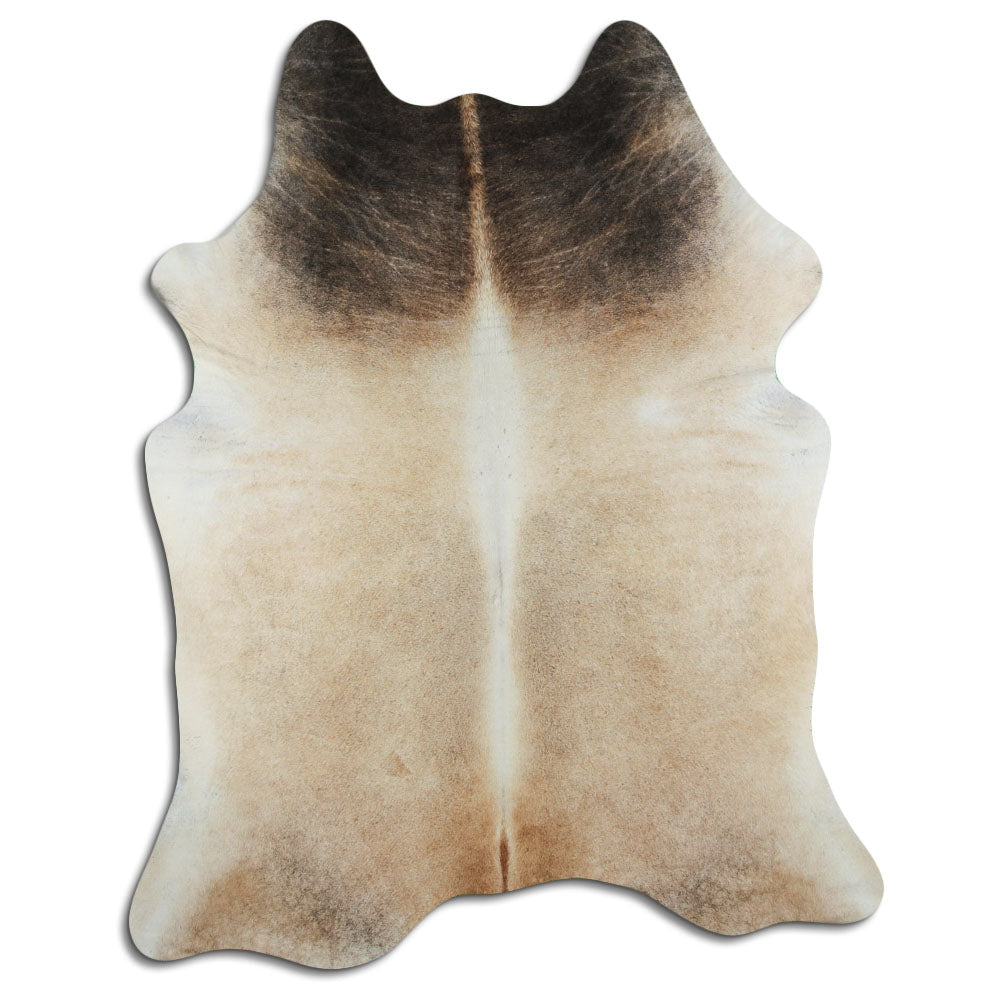 Peau de vache Tan Grey XXL