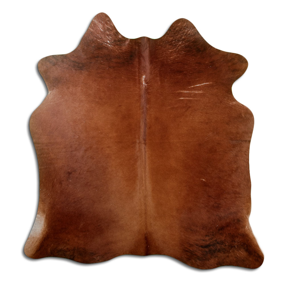 Peau de vache marron d’environ 170 × 160 cm, vue de dessus : exactement la peau que vous recevez