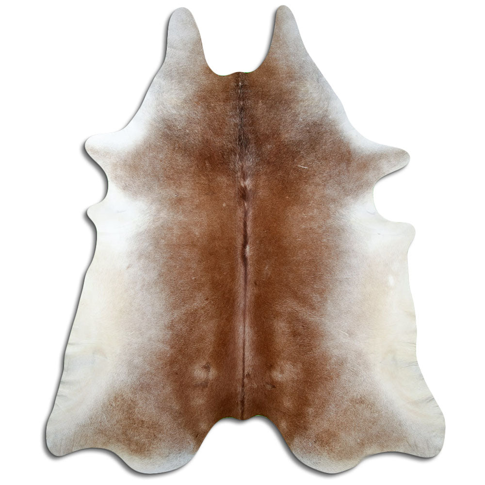 Peau de vache marron d’environ 250 × 210 cm, vue de dessus : exactement la peau que vous recevez