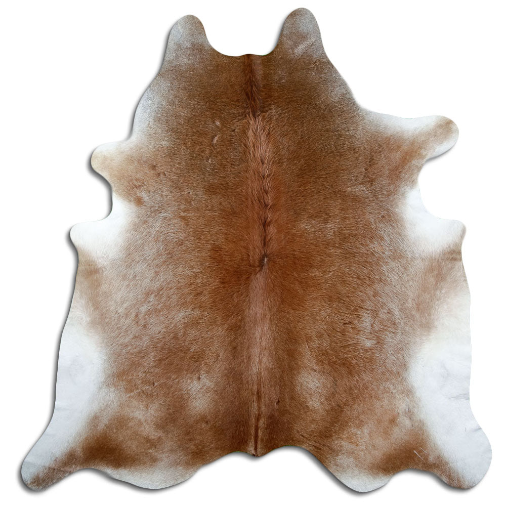 Peau de vache marron d’environ 220 × 210 cm, vue de dessus : exactement la peau que vous recevez