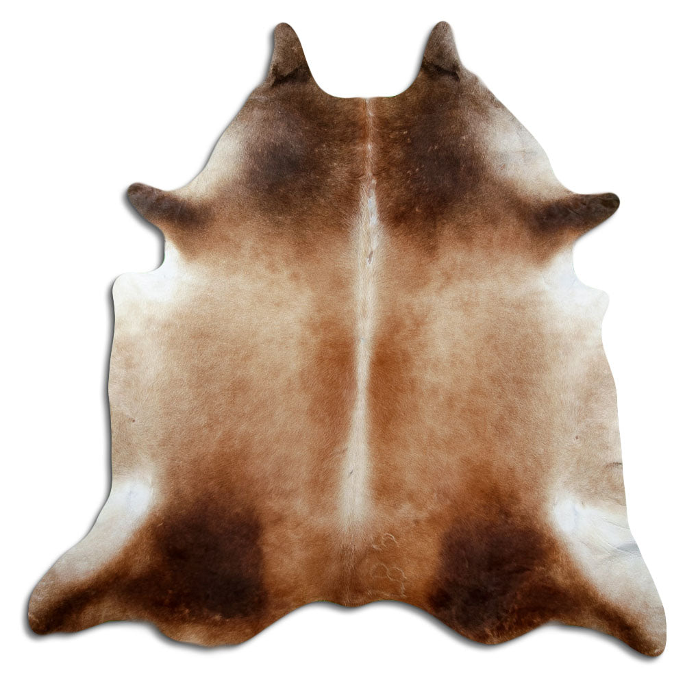 Peau de vache marron d’environ 220 × 220 cm, vue de dessus : exactement la peau que vous recevez