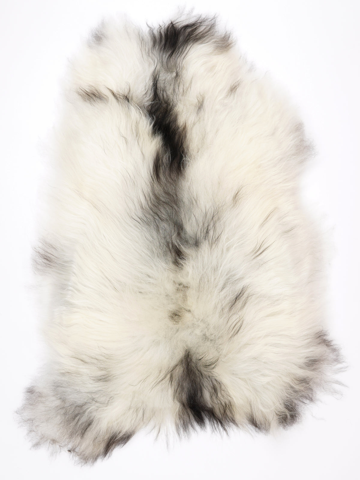 NM00082