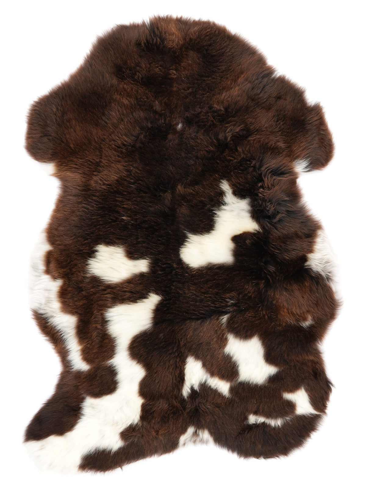 NF00067