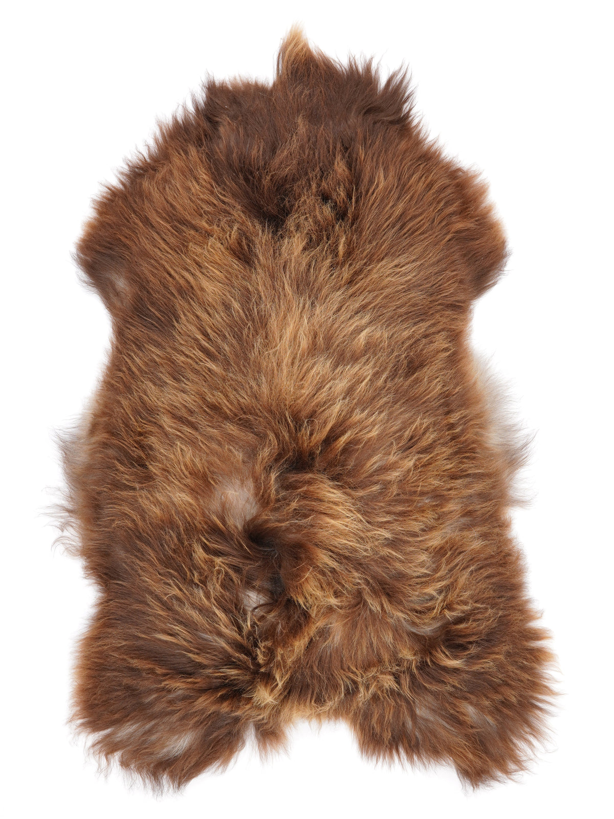 MT00005