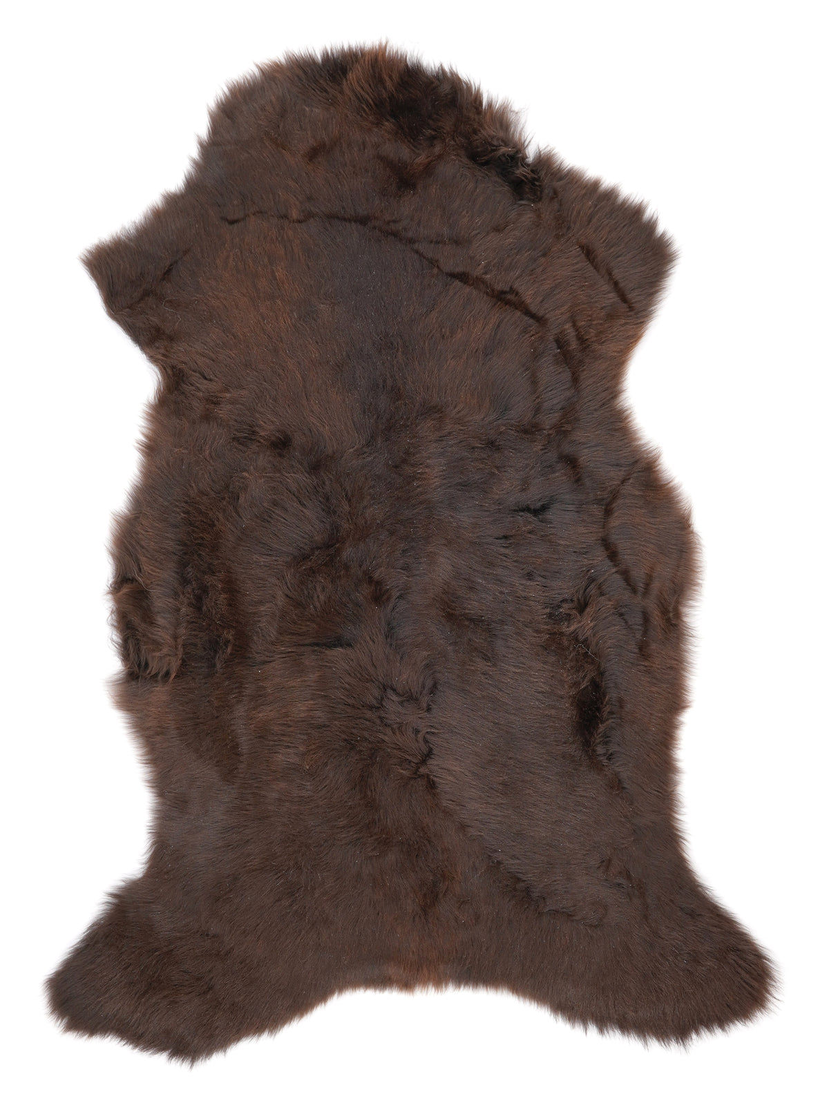 NT00026