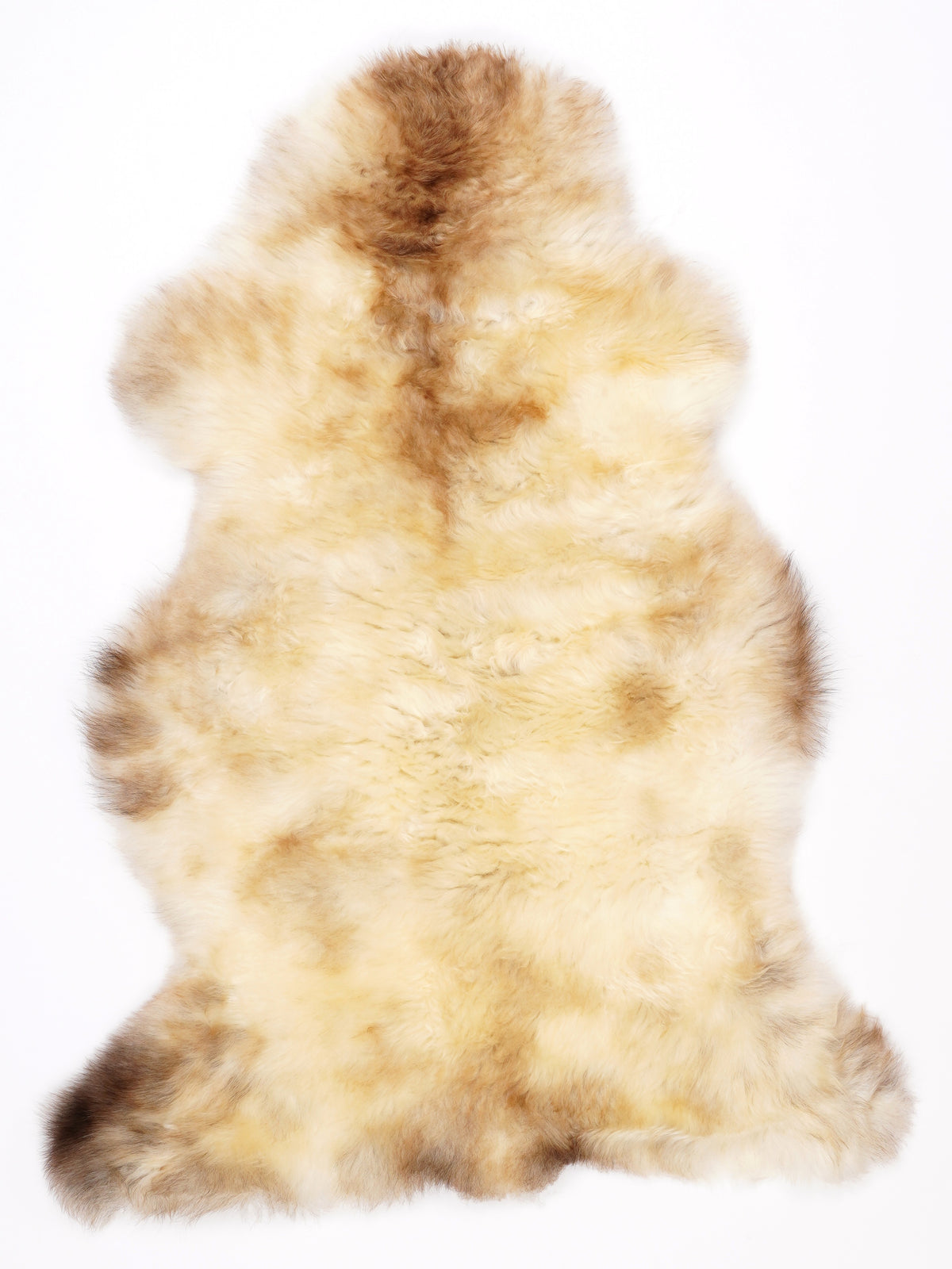NM00004