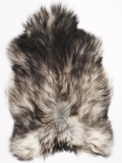 Peau de mouton islandaise XXL