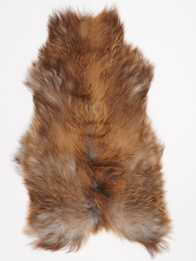 Peau de mouton islandaise XL