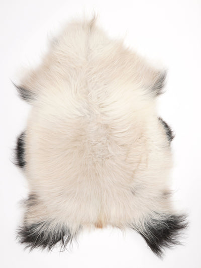 Peau de mouton islandaise XL