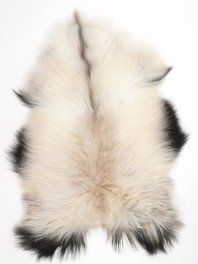 Peau de mouton islandaise XL