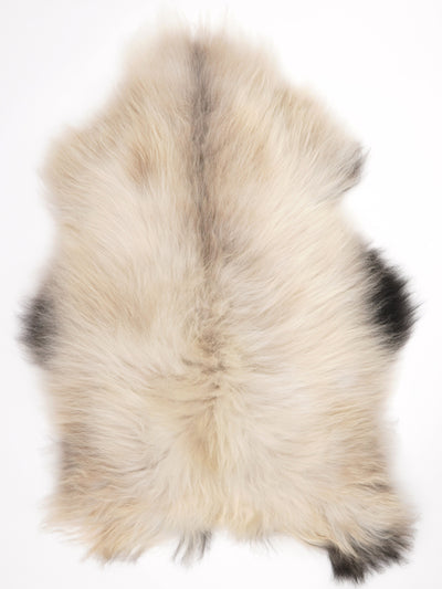Peau de mouton islandaise XL