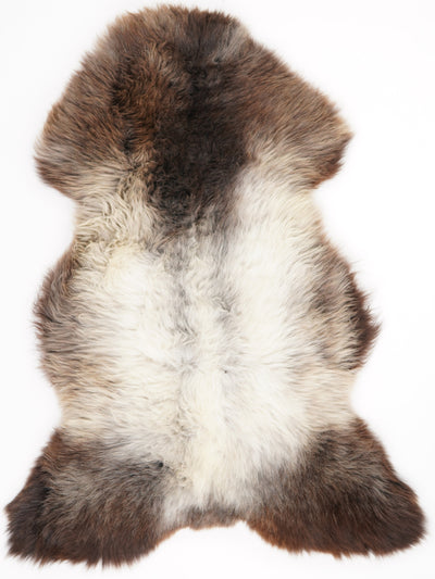 Peau de mouton multicolore XL