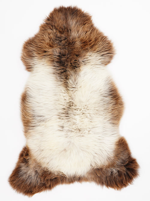 Peau de mouton multicolore XL