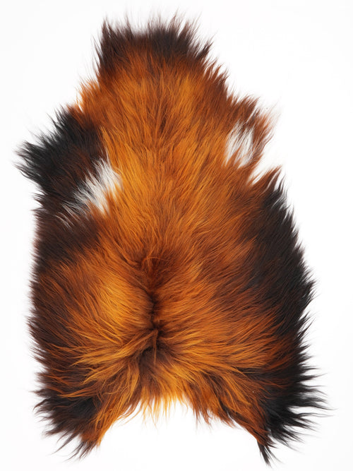 Peau de mouton islandaise XL
