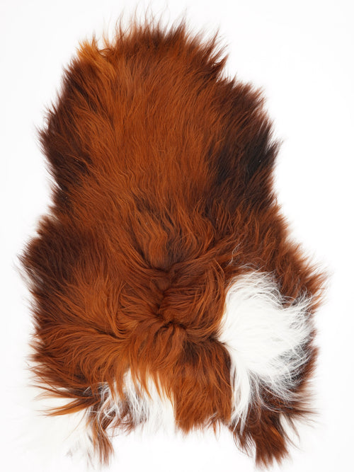 Peau de mouton islandaise XXXL