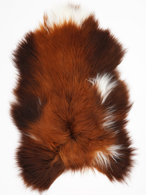 Peau de mouton islandaise XL