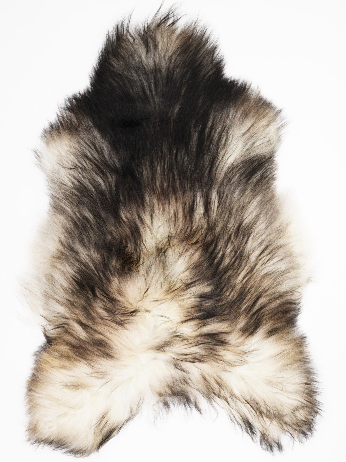Peau de mouton islandaise XL