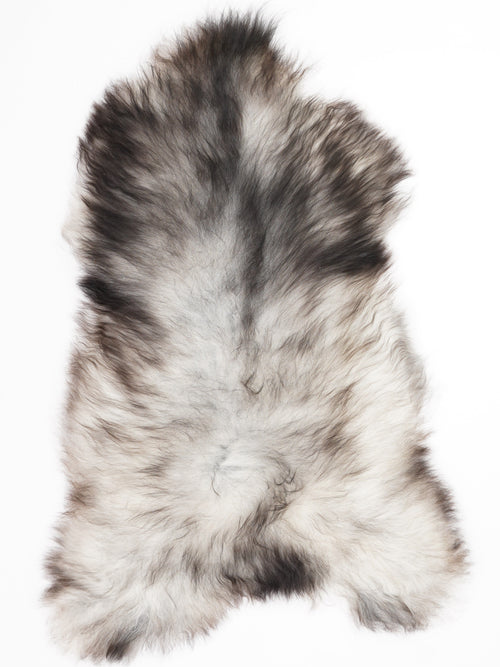 Peau de mouton islandaise XL