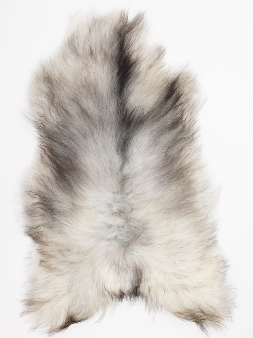 Peau de mouton islandaise XL