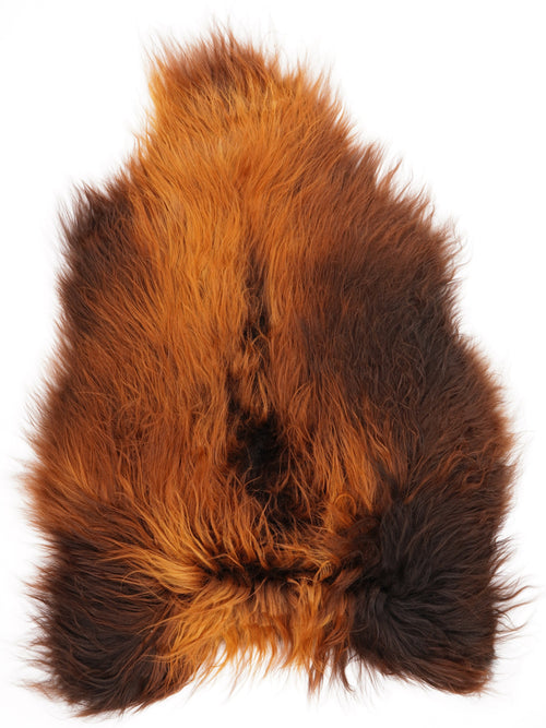Peau de mouton islandaise XL
