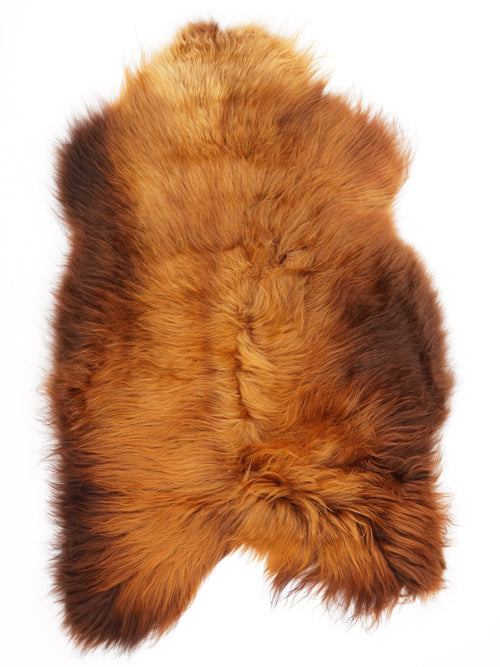 Peau de mouton islandaise XL