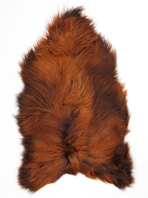 Peau de mouton islandaise XXXL
