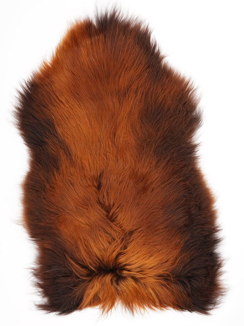 Peau de mouton islandaise XL