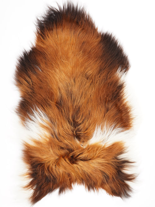 Peau de mouton islandaise XL