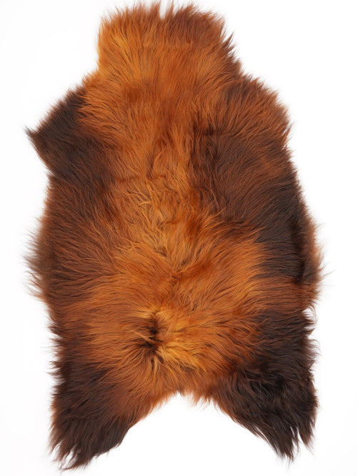 Peau de mouton islandaise XL