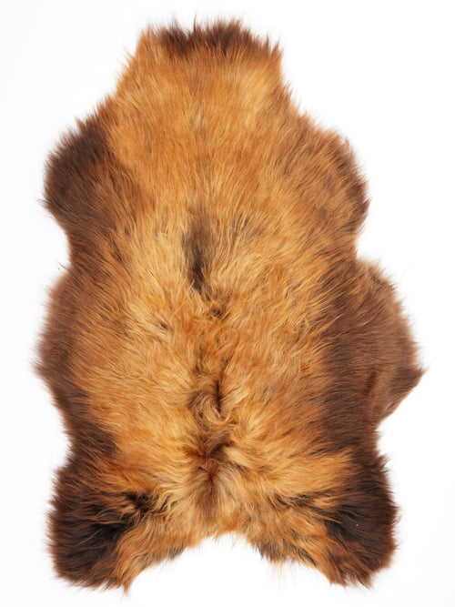Peau de mouton islandaise XL