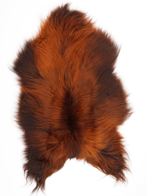 Peau de mouton islandaise XL