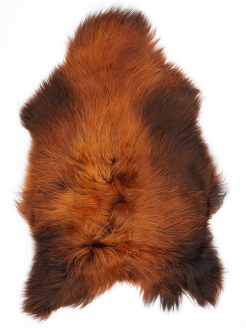 Peau de mouton islandaise XL
