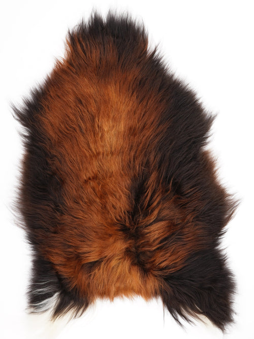 Peau de mouton islandaise XL