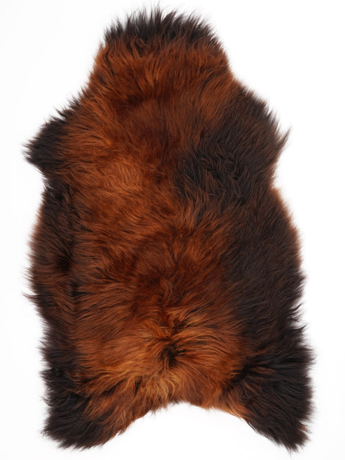 Peau de mouton islandaise XXL