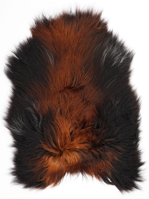 Peau de mouton islandaise XL