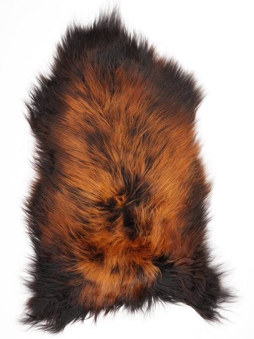 Peau de mouton islandaise XL