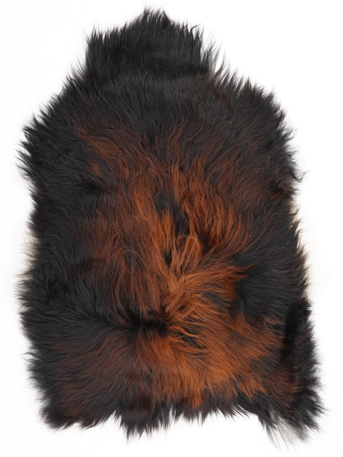 Peau de mouton islandaise XL