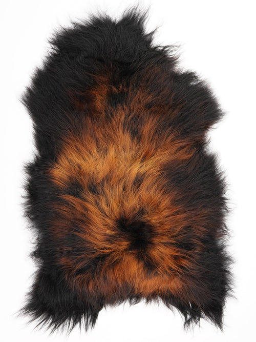 Peau de mouton islandaise XL