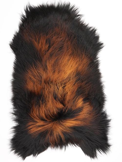 Peau de mouton islandaise XL