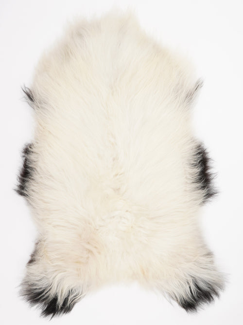 Peau de mouton islandaise XL