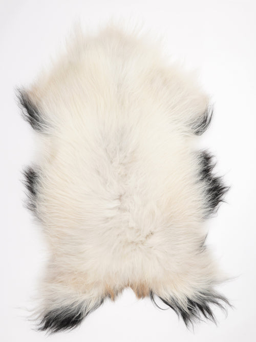 Peau de mouton islandaise XL