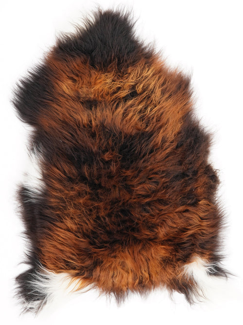 Peau de mouton islandaise M