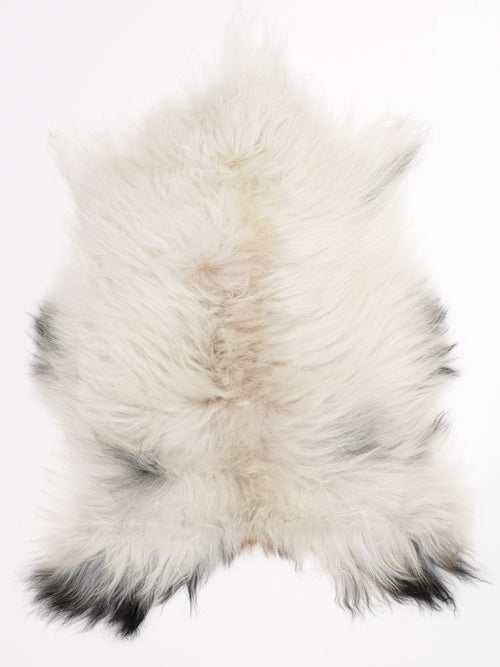 Peau de mouton islandaise S