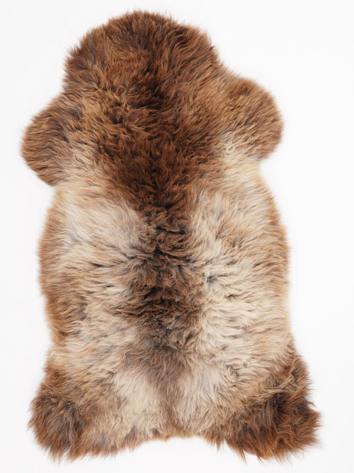 Peau de mouton multicolore XL