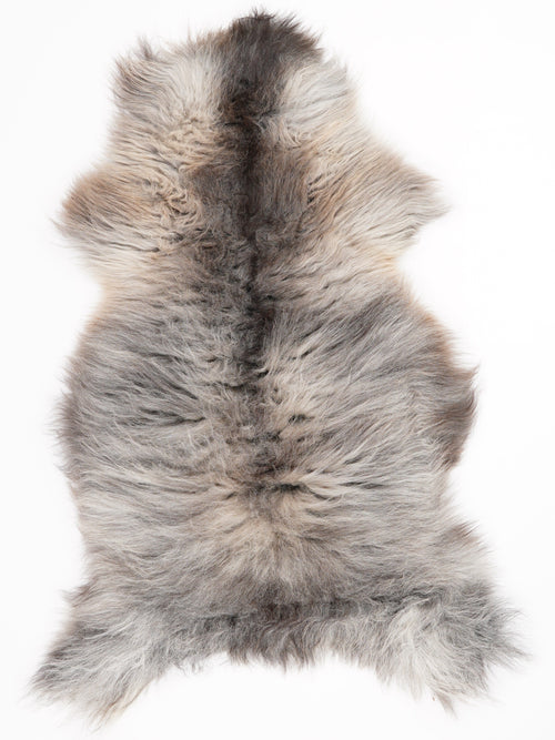 Peau de mouton multicolore XL