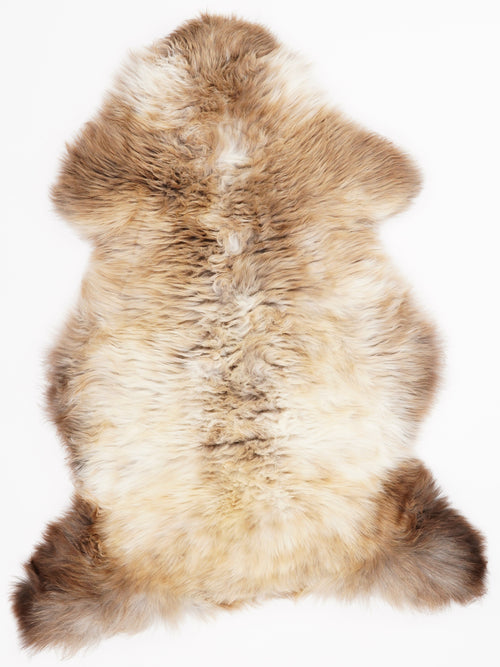 Peau de mouton multicolore L