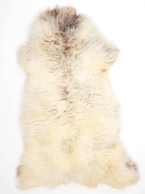 Peau de mouton multicolore XXL