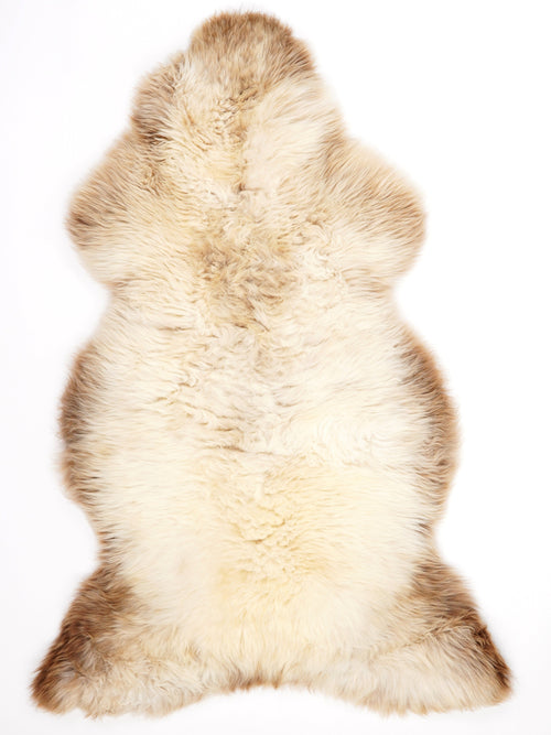Peau de mouton multicolore XL