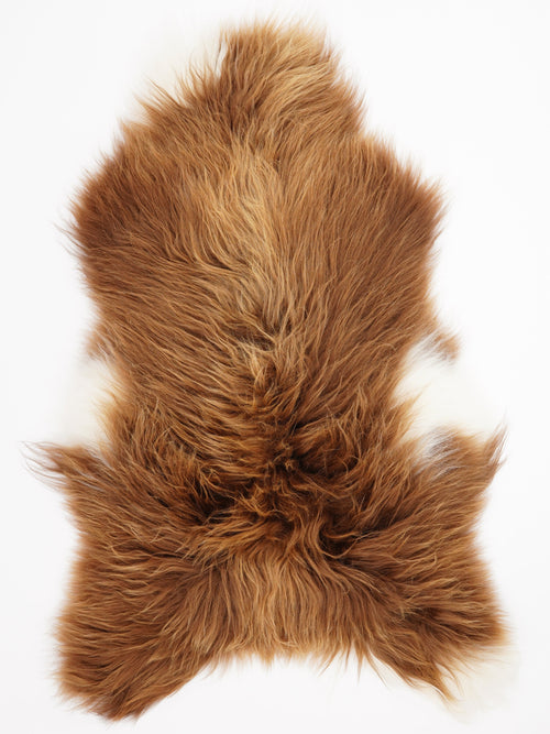 Peau de mouton islandaise XXL