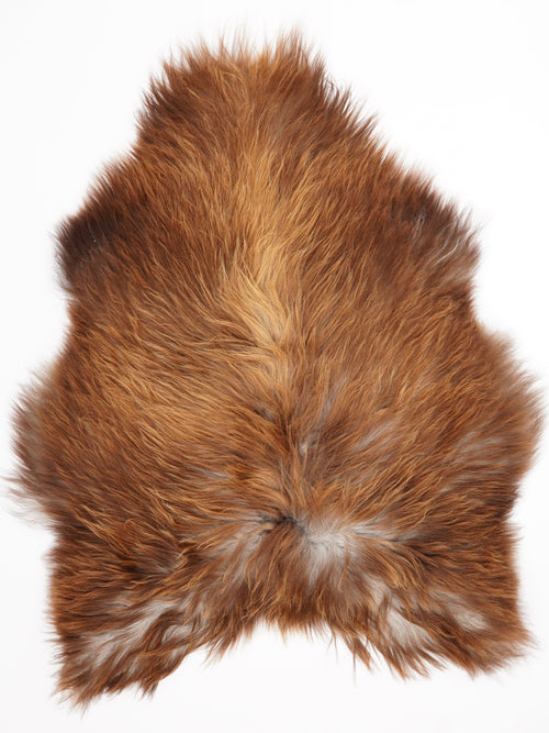 Peau de mouton islandaise XL